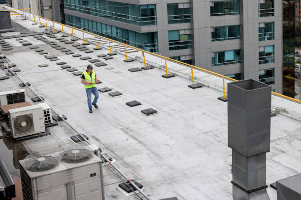 Professional Roofing in Aldine, TX